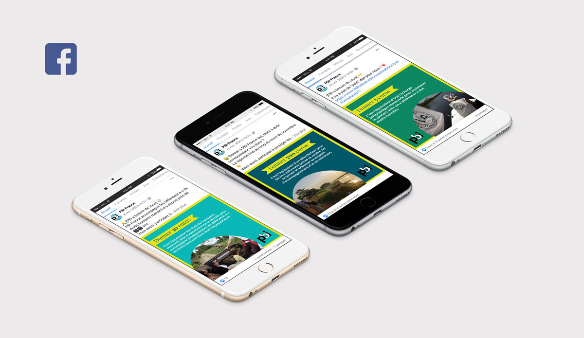 PBI - Campagne de dons réseaux sociaux